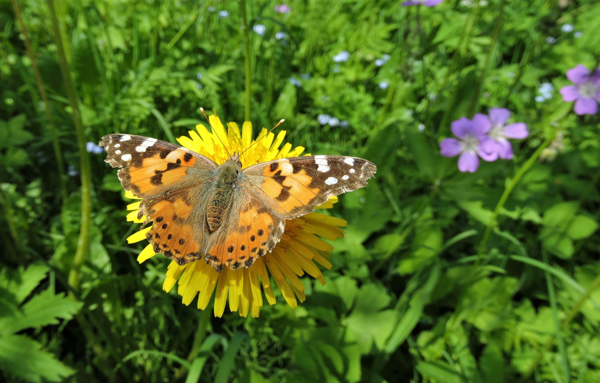 Valokuvaaja: Mervi Kaasalainen