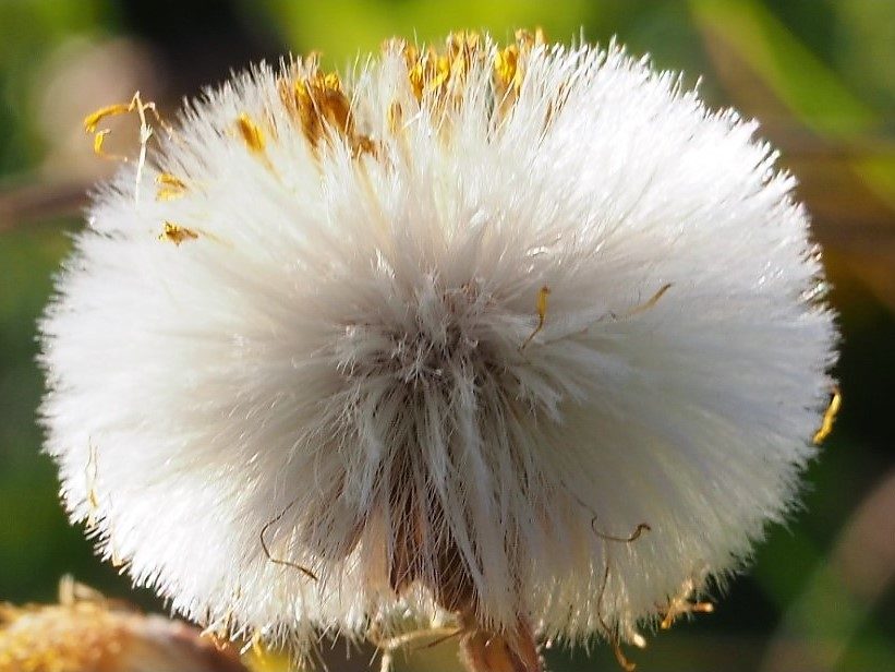 Valokuvaaja: Arja Valtonen