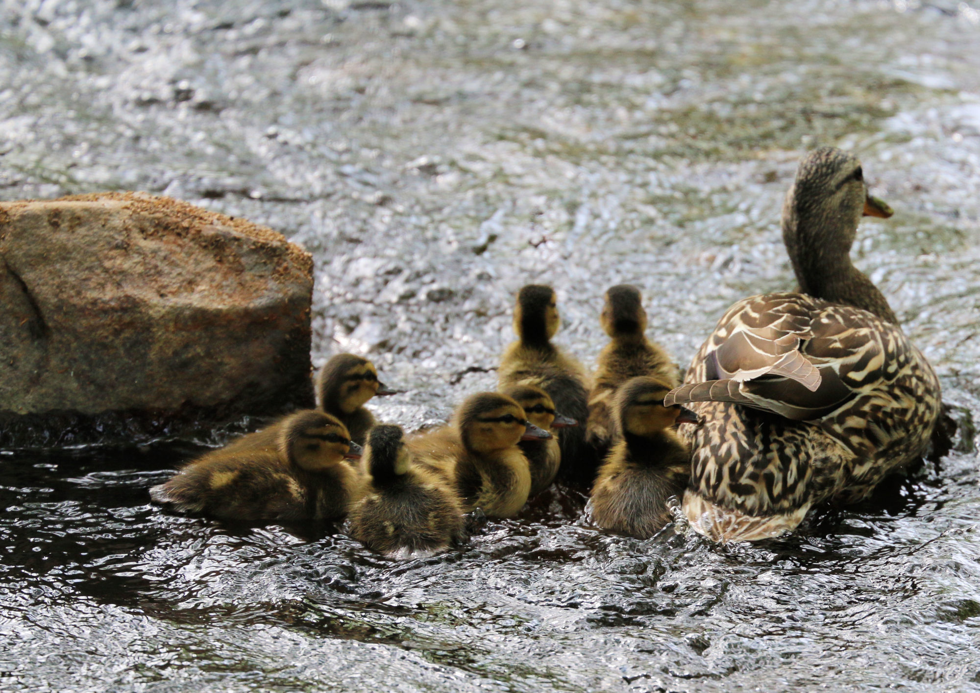 Valokuvaaja: Ahti Keränen