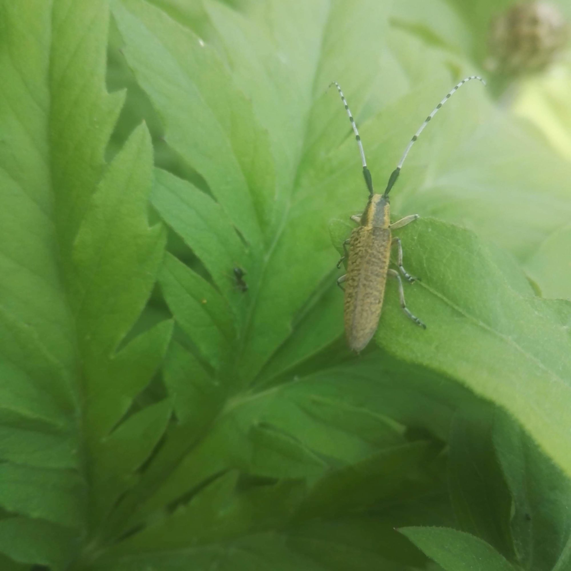 Valokuvaaja: Tellervo Kajanto