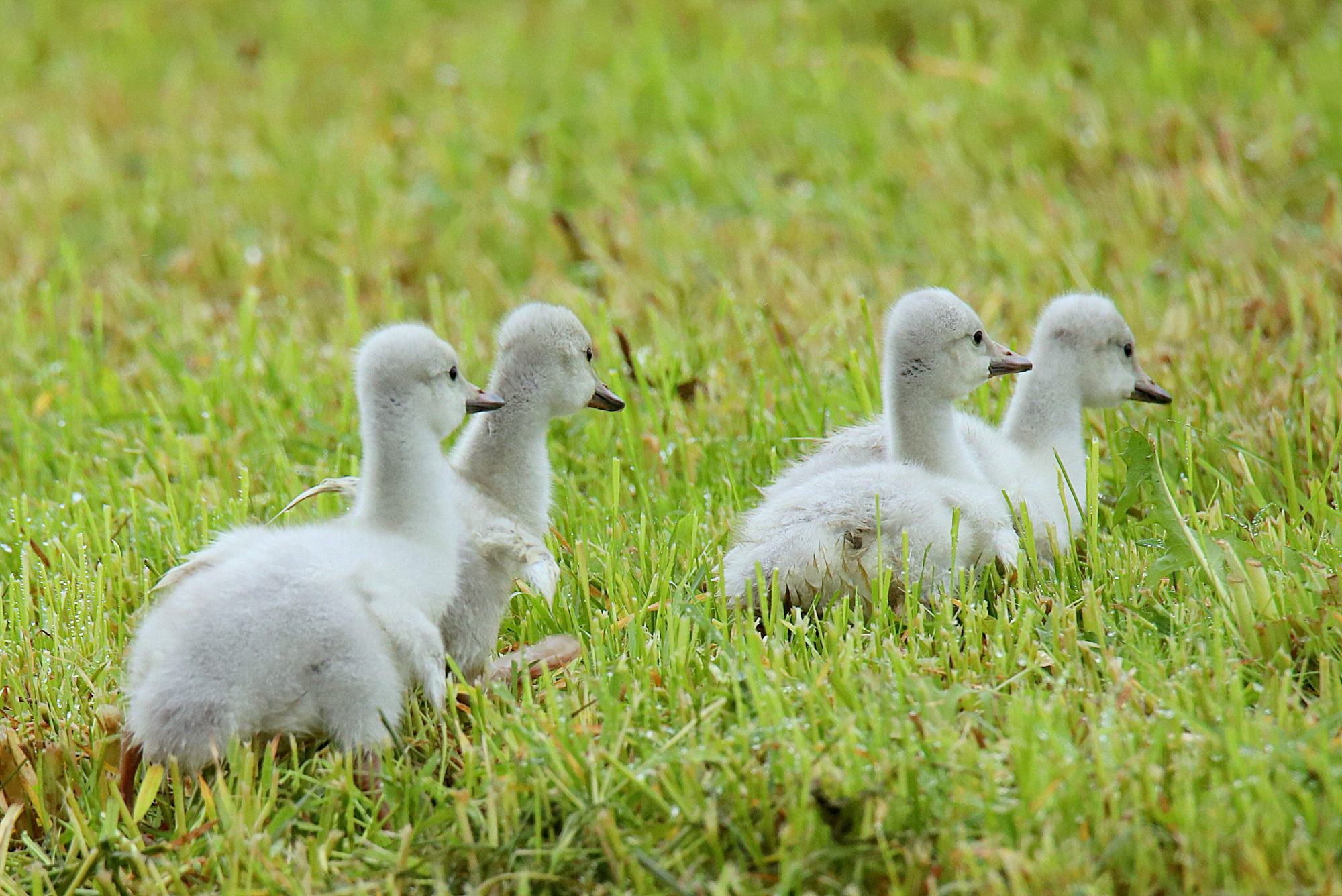 Valokuvaaja: sirpa jyske