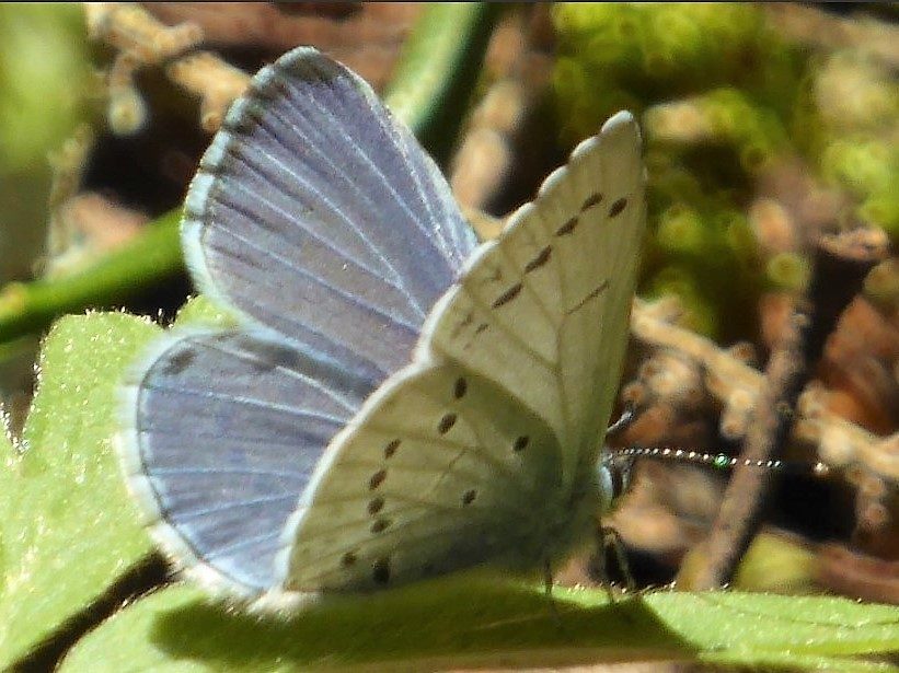 Valokuvaaja: Arja Valtonen
