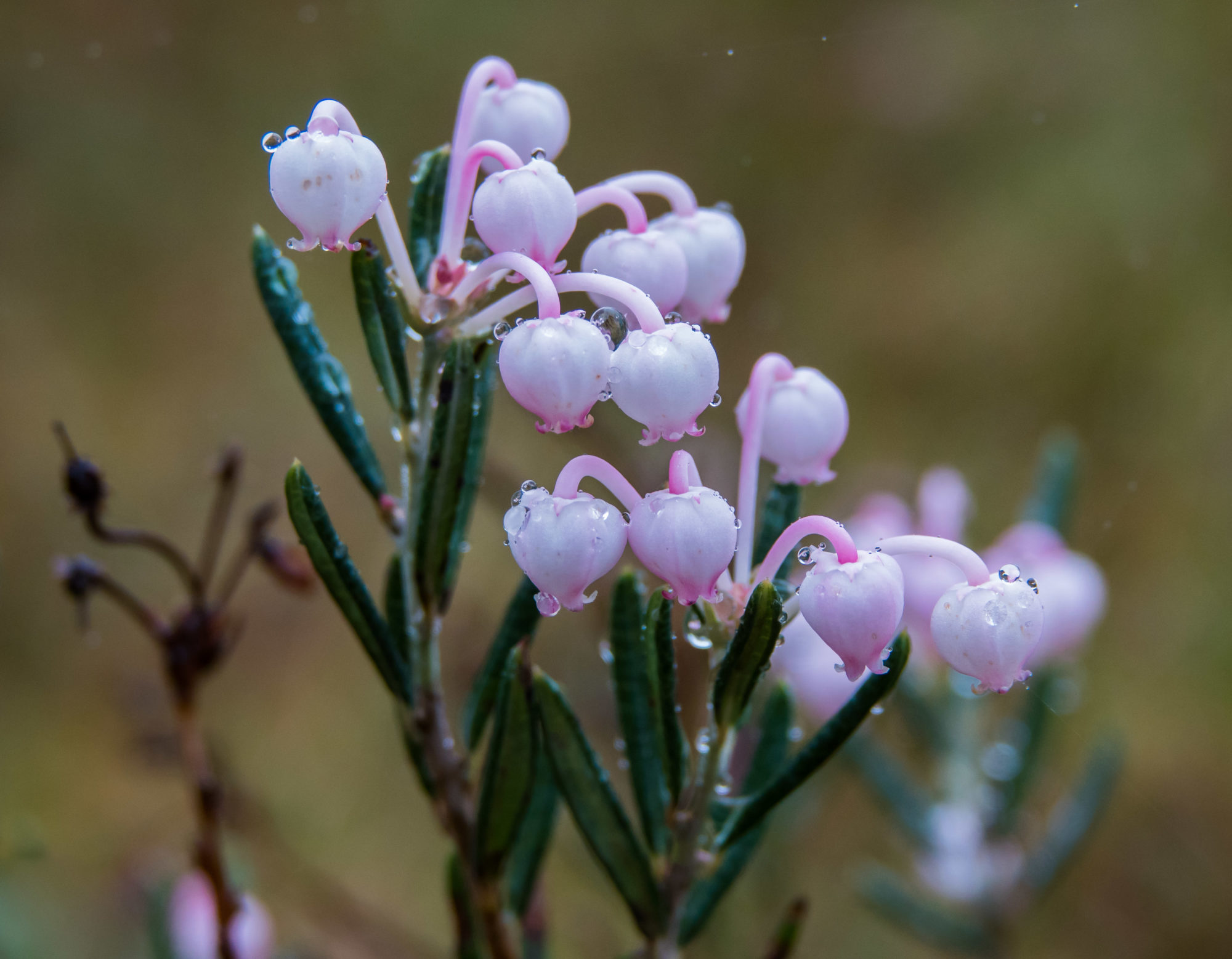 Valokuvaaja: Merja Ollikainen
