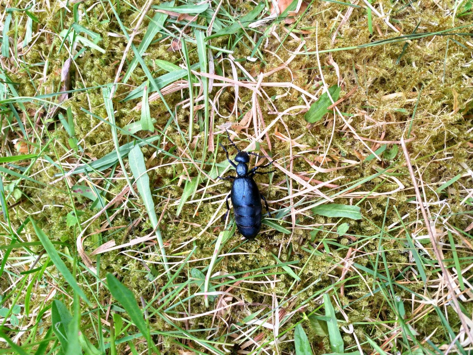 Valokuvaaja: Aino Hartikainen