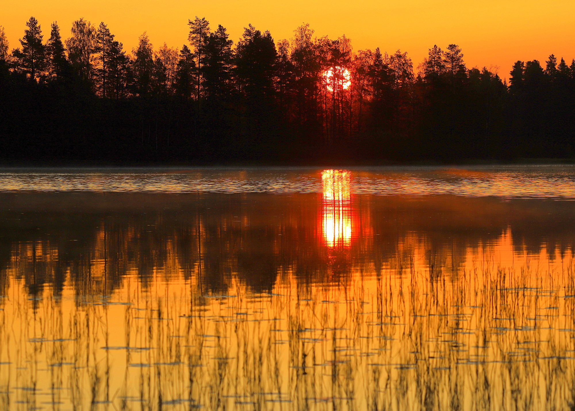Valokuvaaja: sirpa jyske