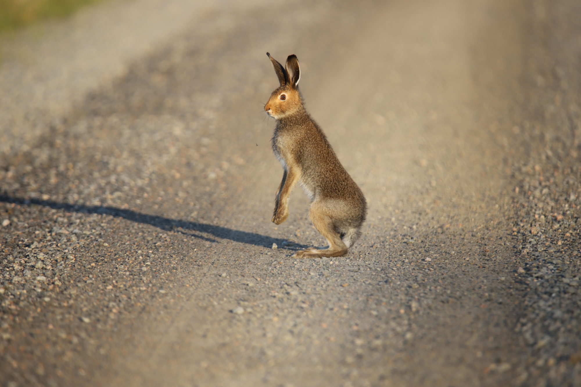 Valokuvaaja: sirpa jyske