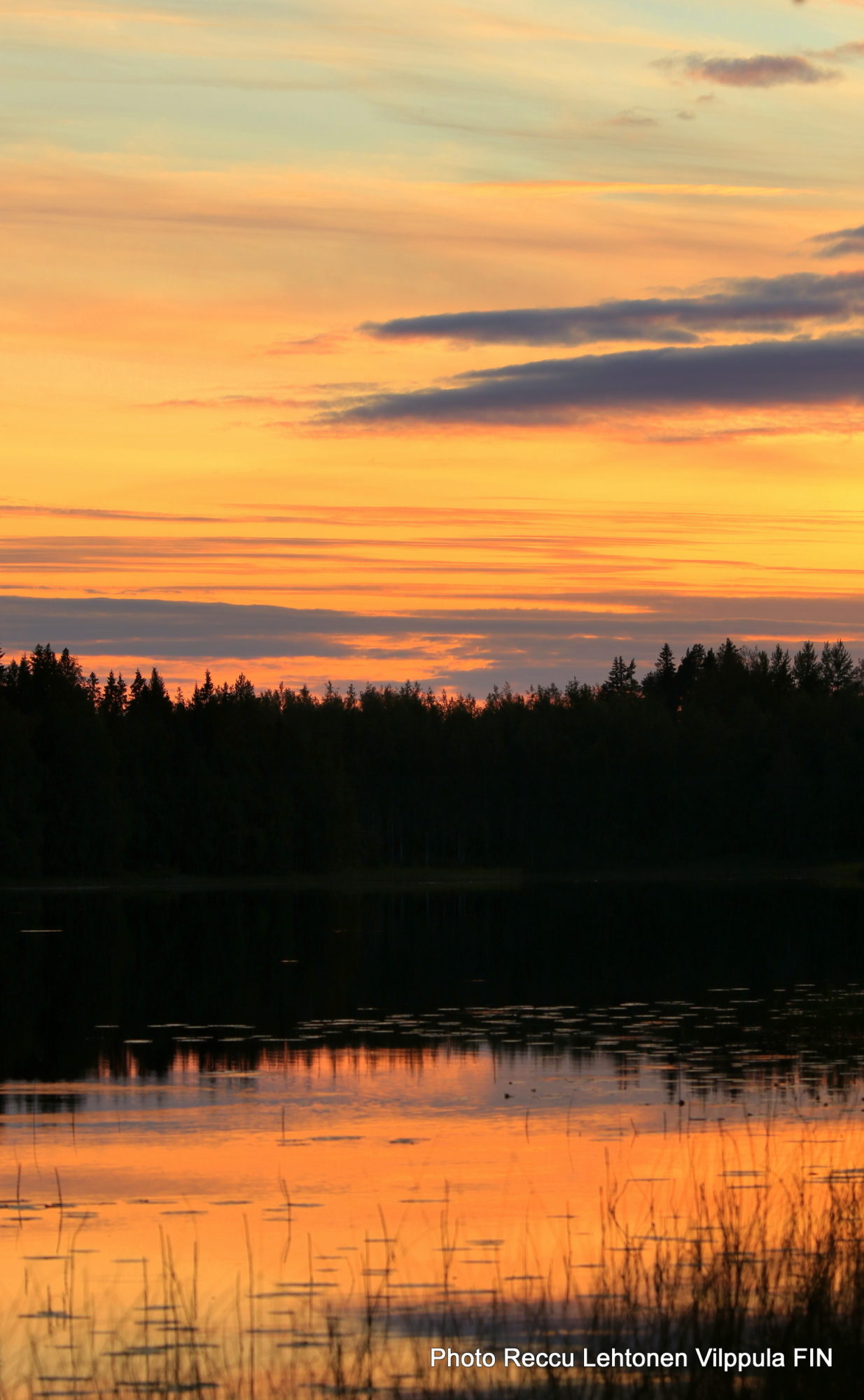 Valokuvaaja: reccu lehtonen
