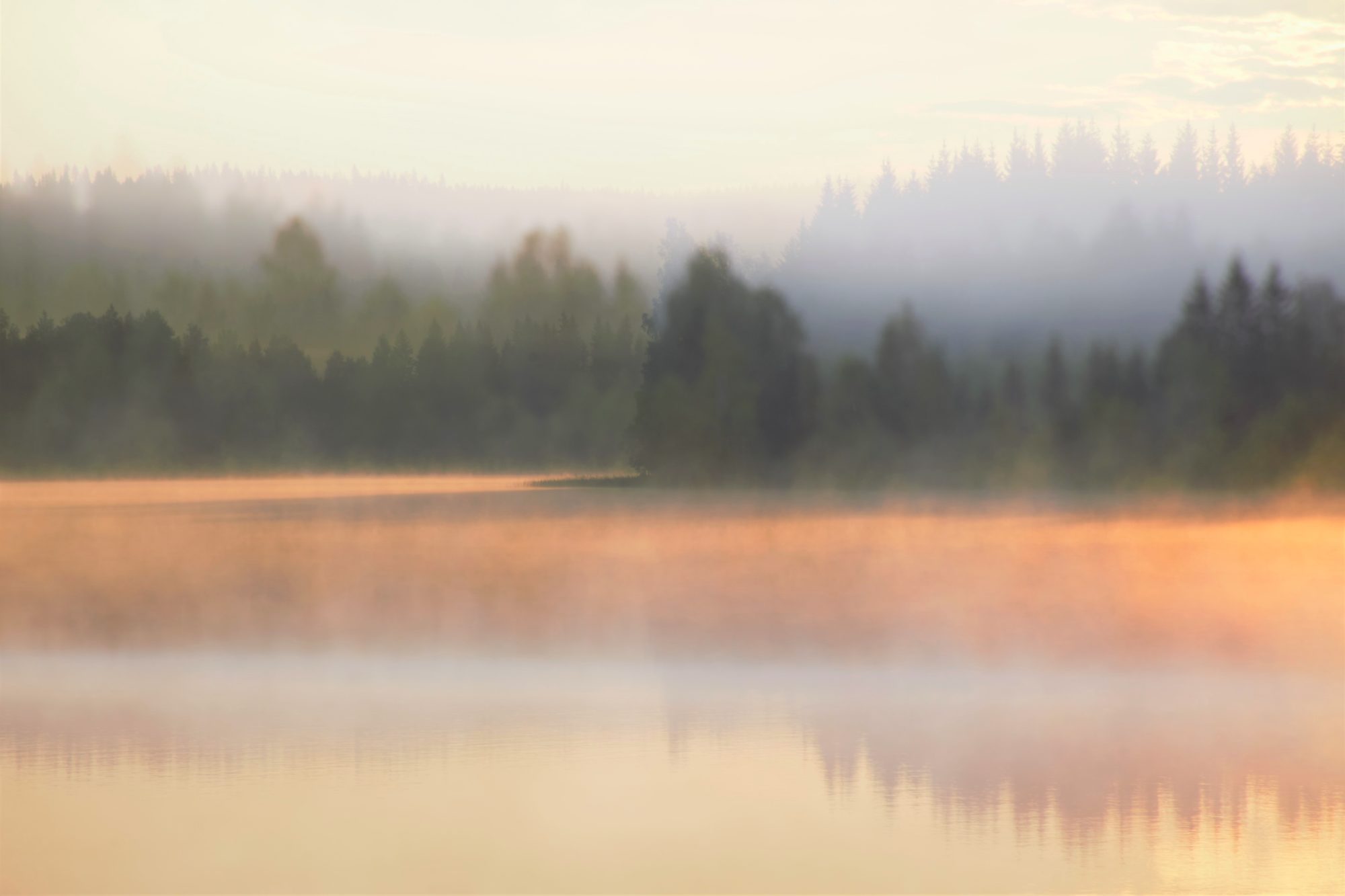 Valokuvaaja: Leena Rissanen