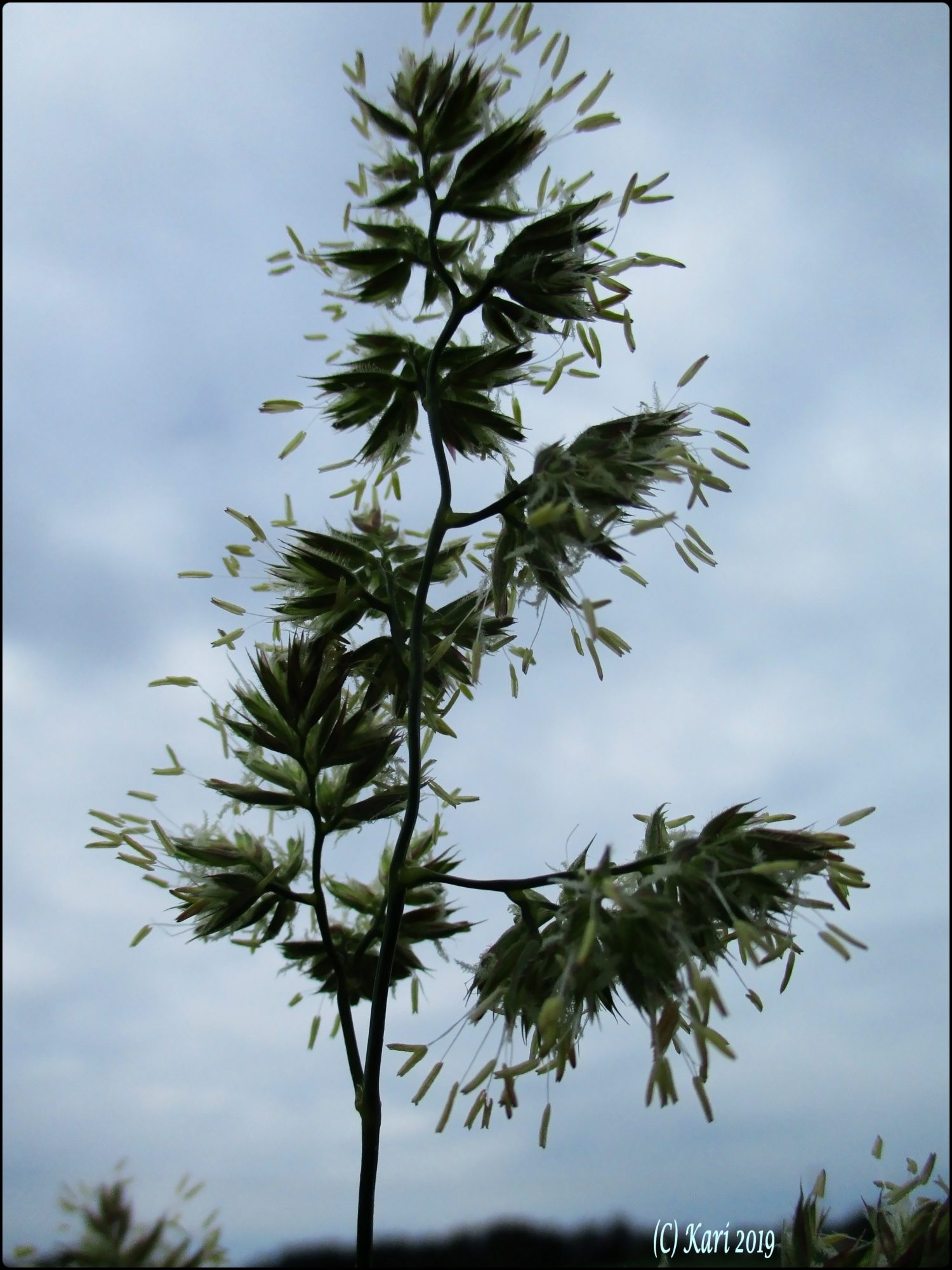 Valokuvaaja: Kari Saarinen