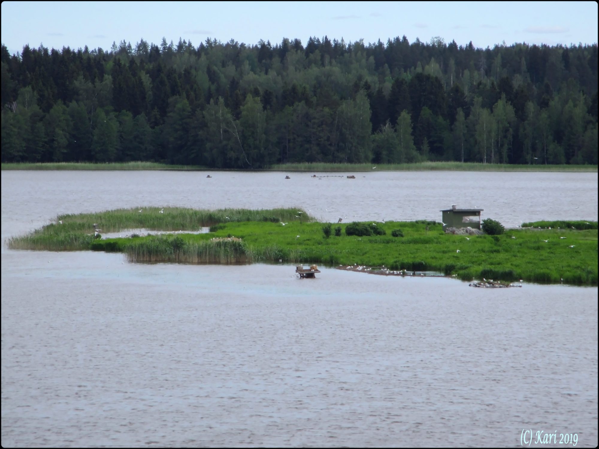 Valokuvaaja: Kari Saarinen