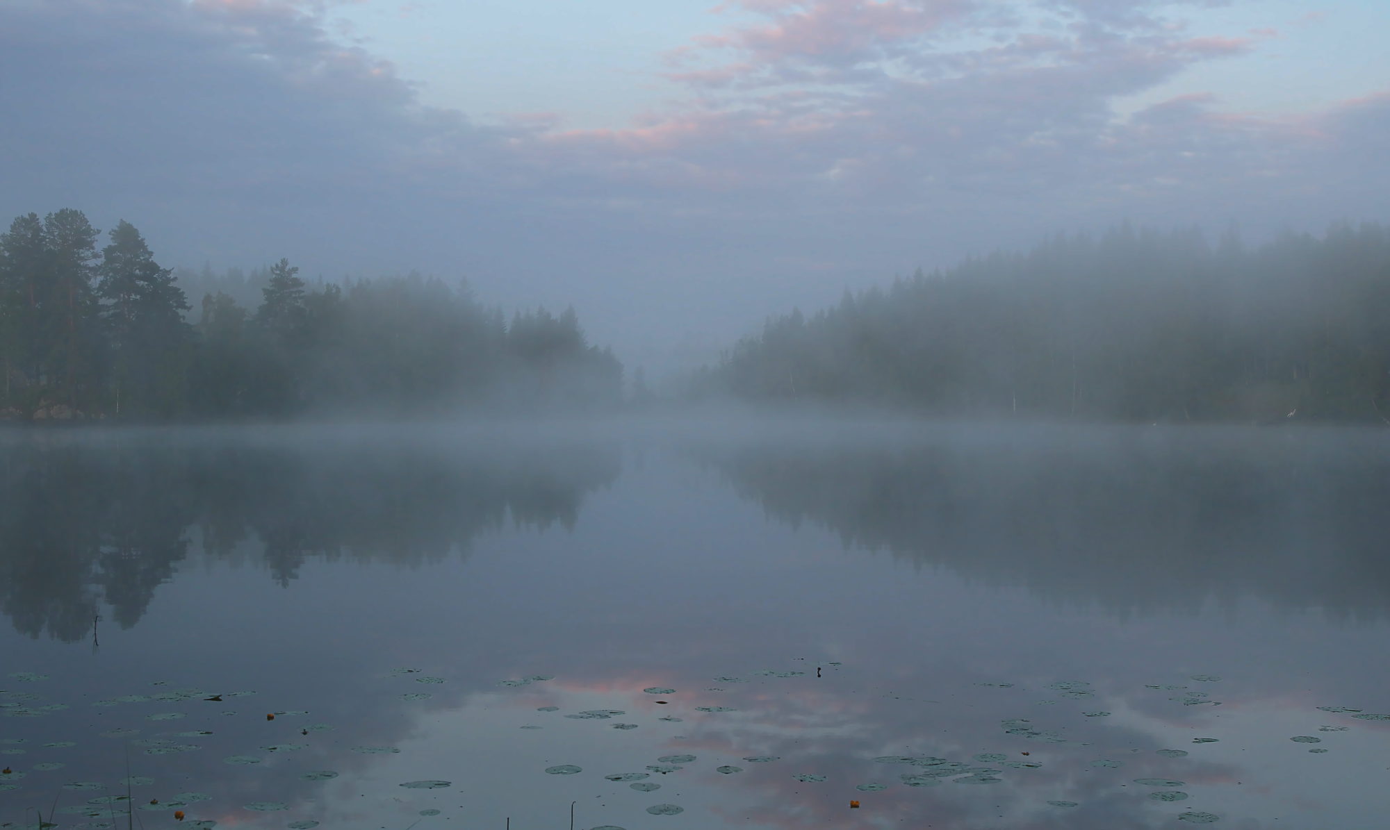 Valokuvaaja: reccu lehtonen