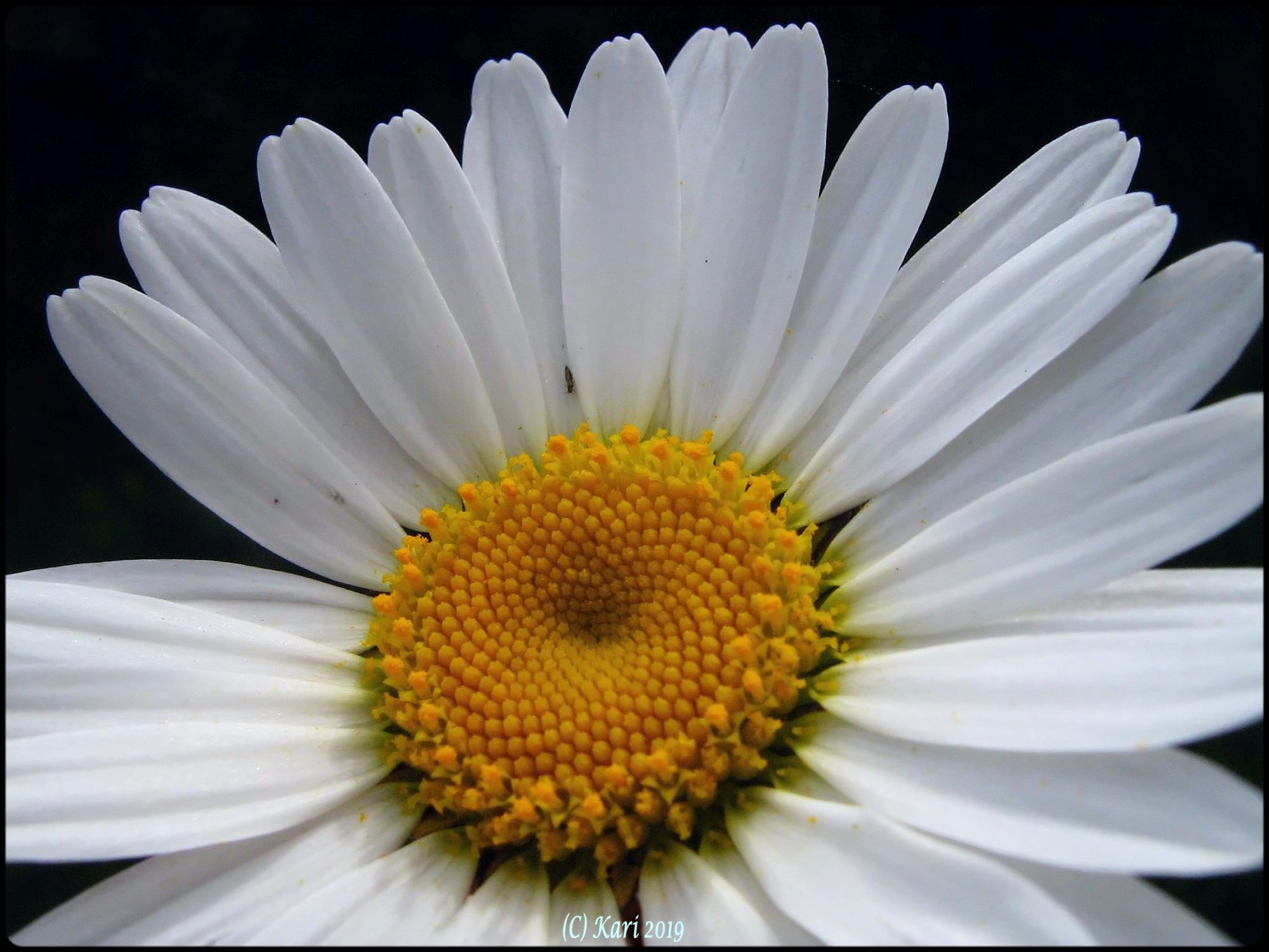 Valokuvaaja: Kari Saarinen