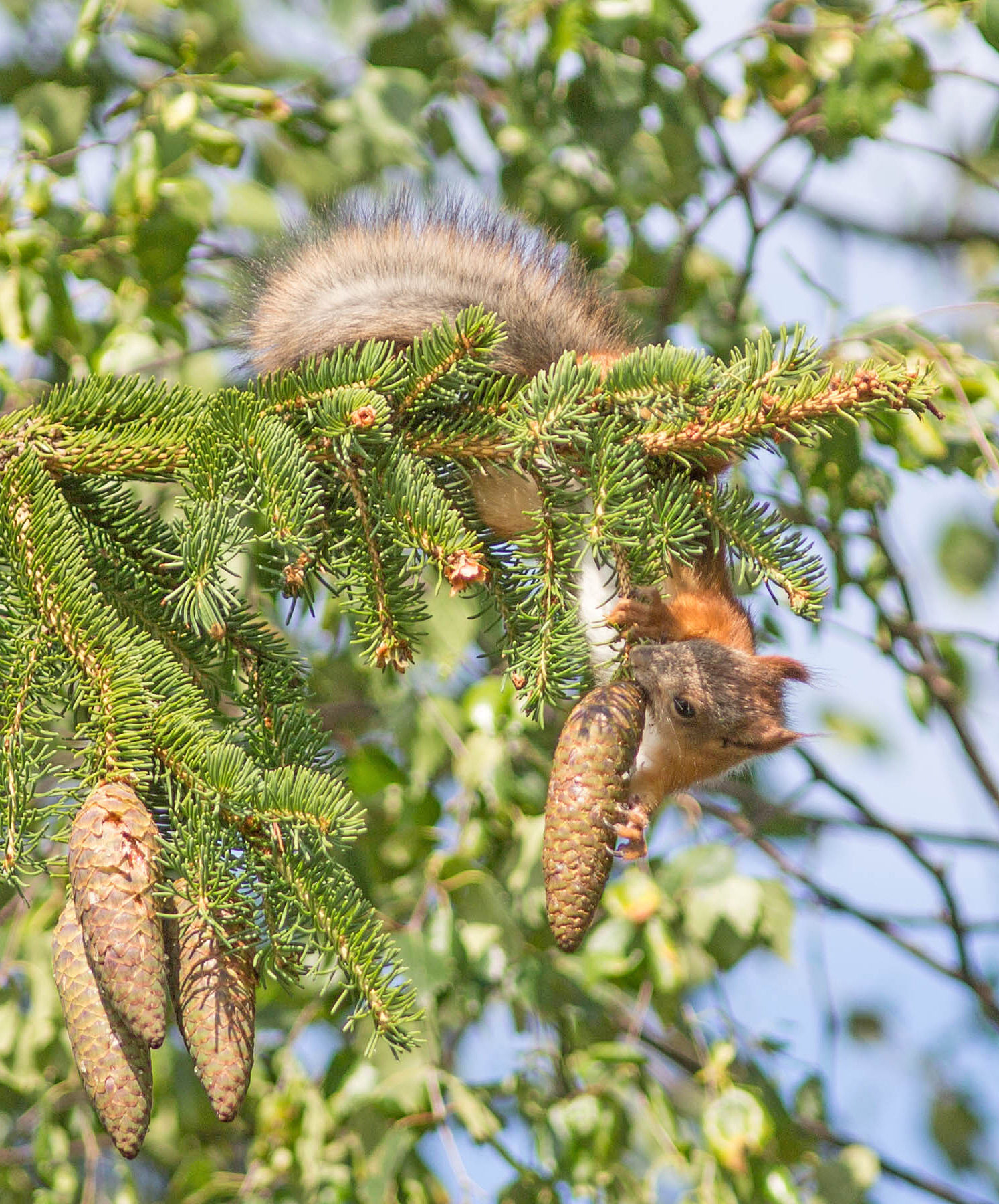 Valokuvaaja: Irma Kortekallio