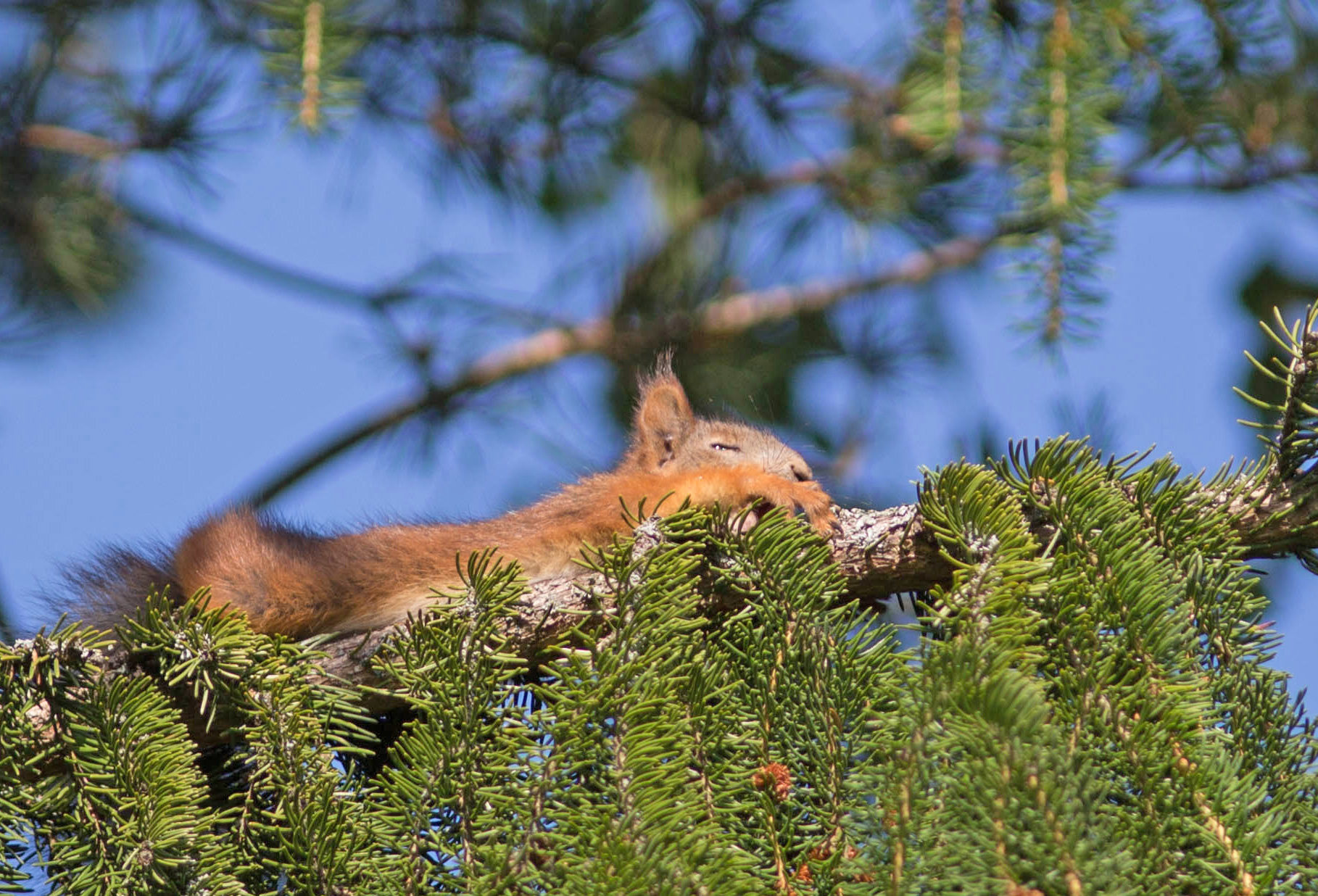 Valokuvaaja: Irma Kortekallio