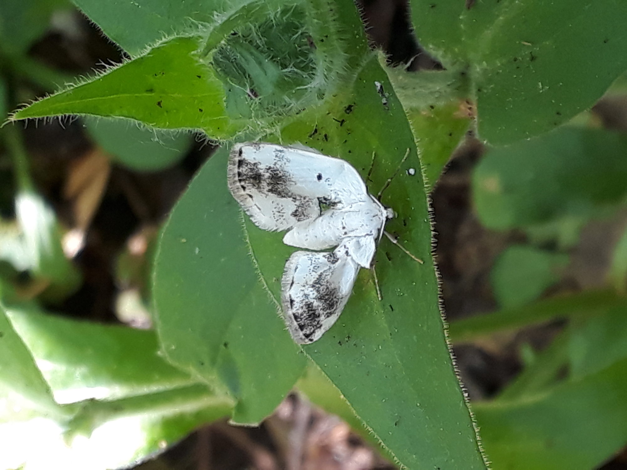 Valokuvaaja: Kaarina Heiskanen