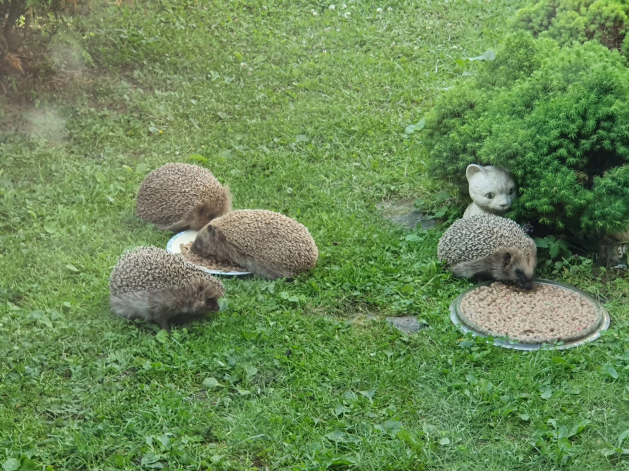 Valokuvaaja: Eki Elsilä