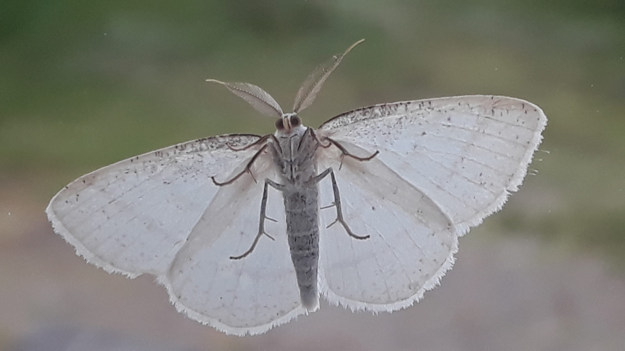 Valokuvaaja: Kaarina Heiskanen