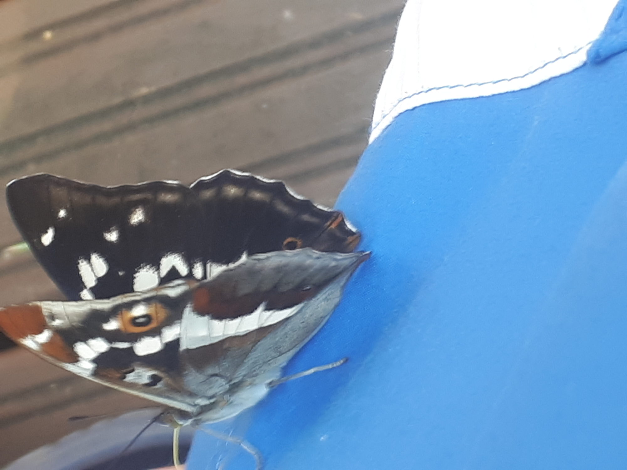 Valokuvaaja: Kari Perälä