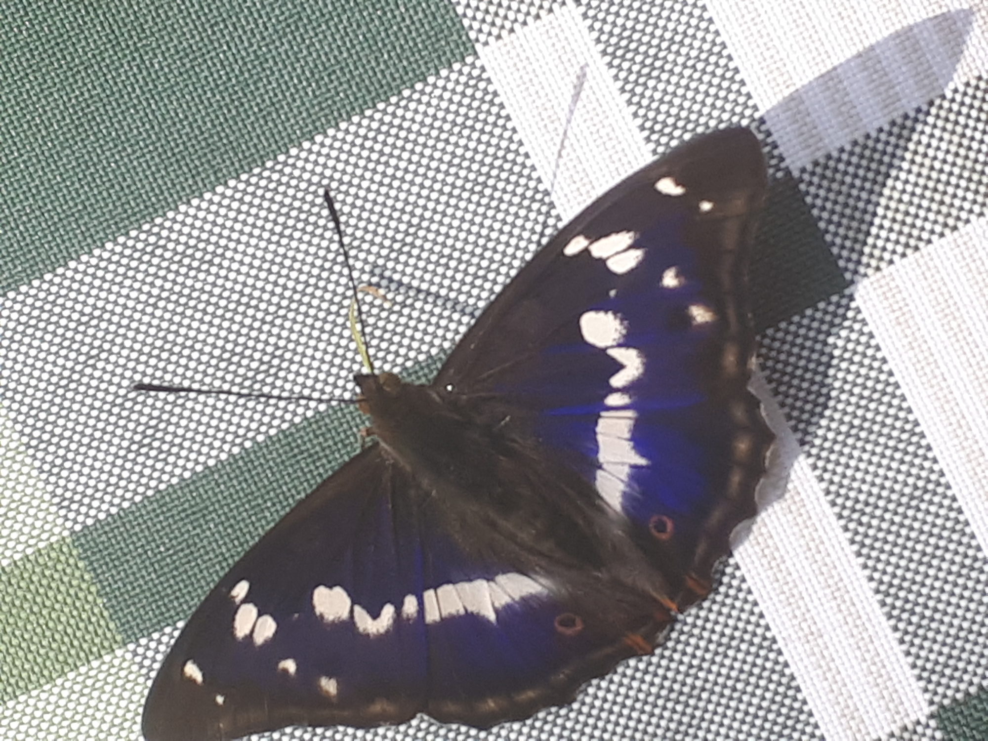 Valokuvaaja: Kari Perälä