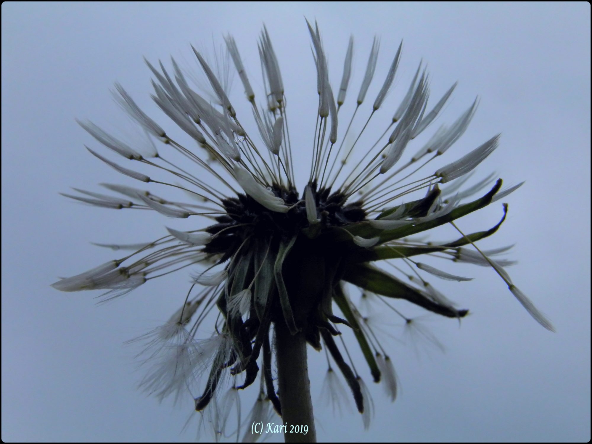 Valokuvaaja: Kari Saarinen