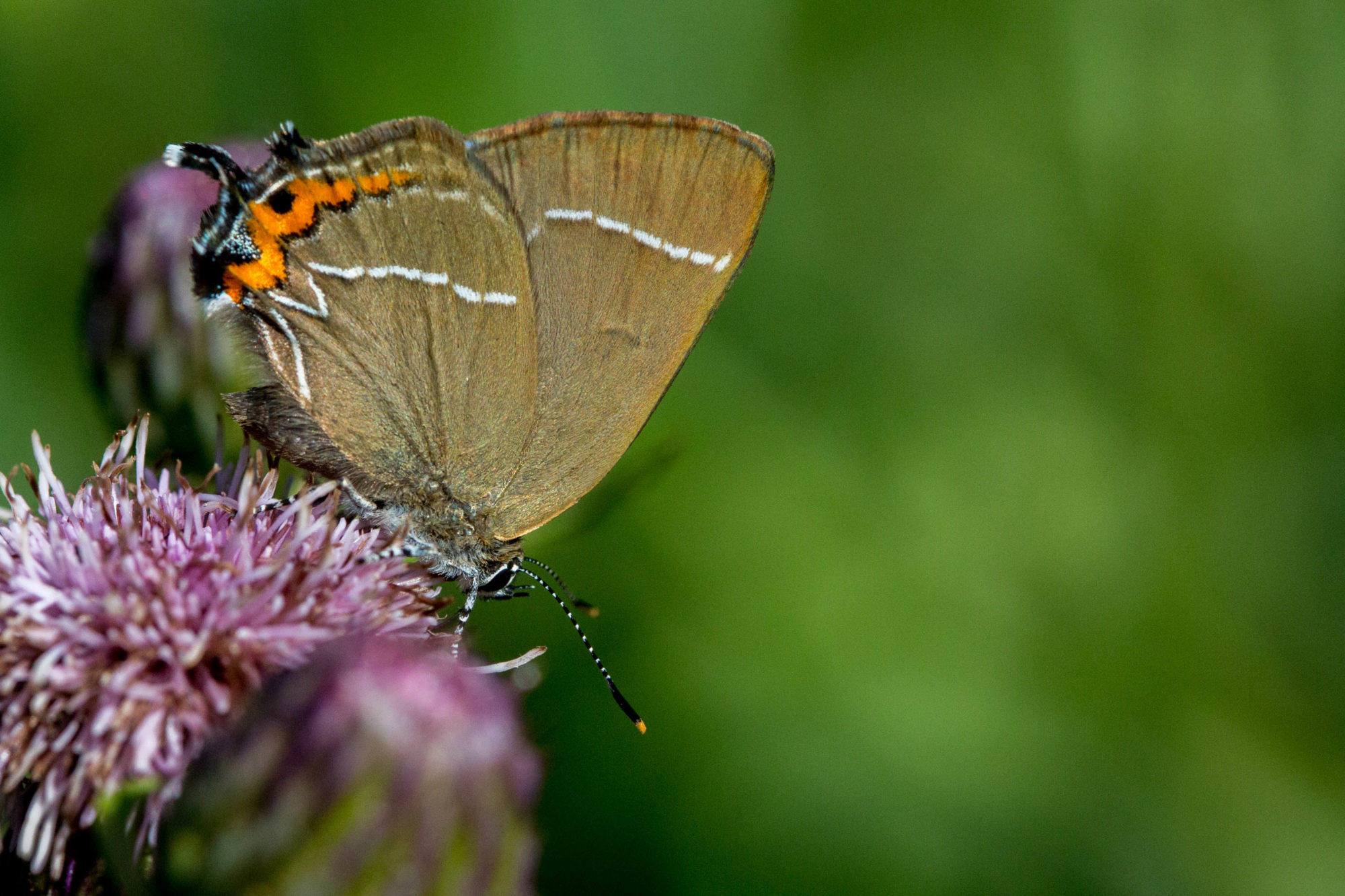 Valokuvaaja: Markku Salonen