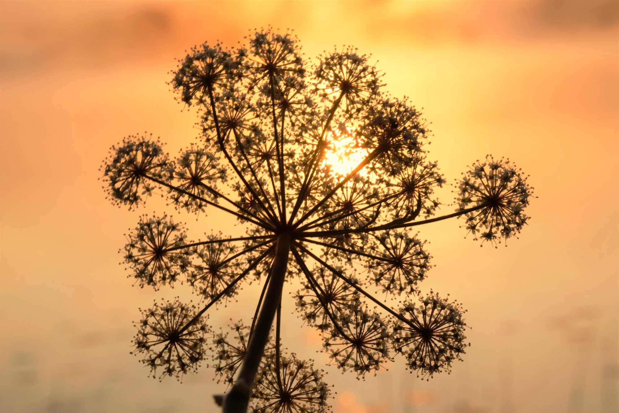 Valokuvaaja: Leena Rissanen