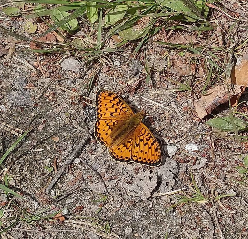 Valokuvaaja: Eveliina Heikkilä