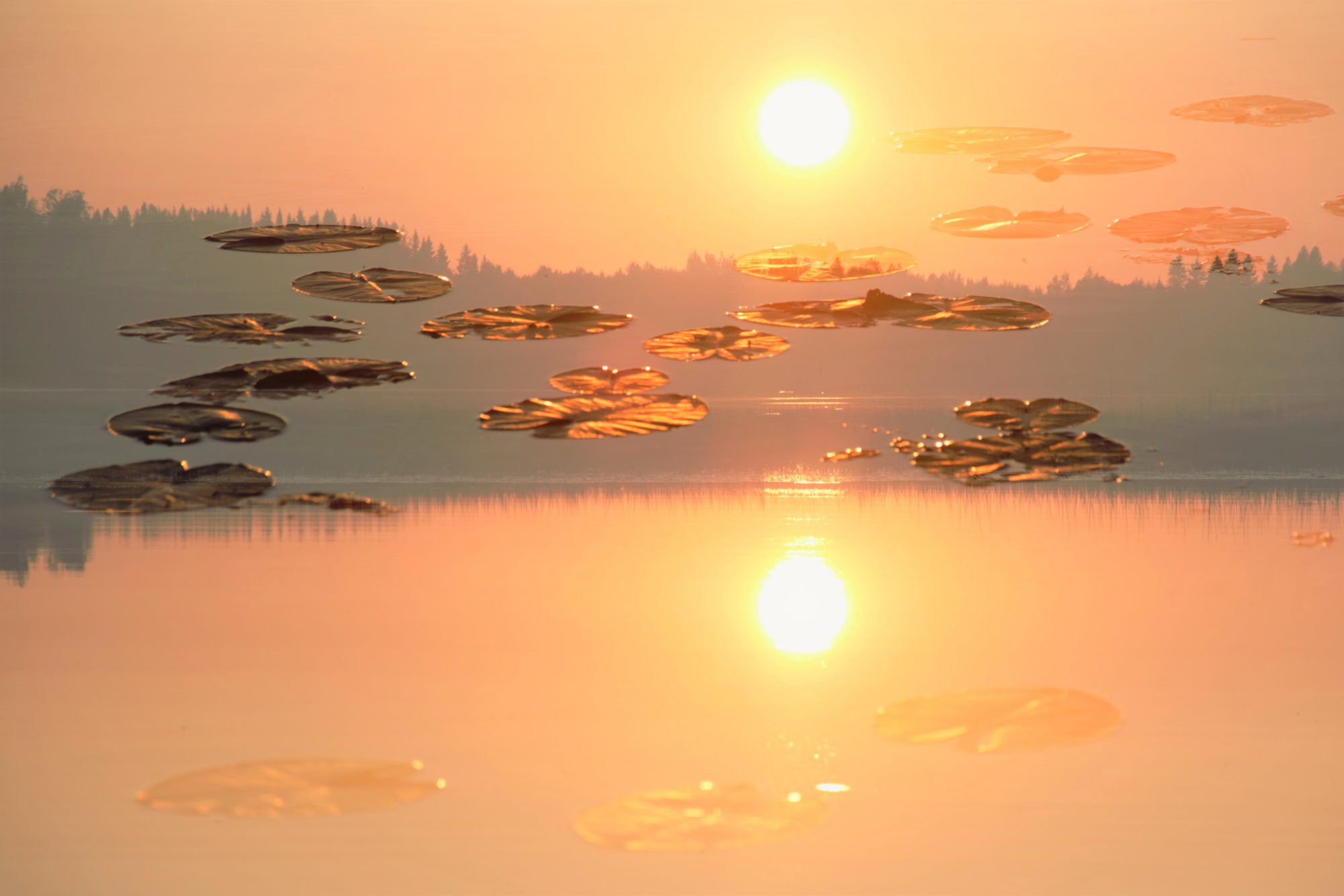 Valokuvaaja: Leena Rissanen