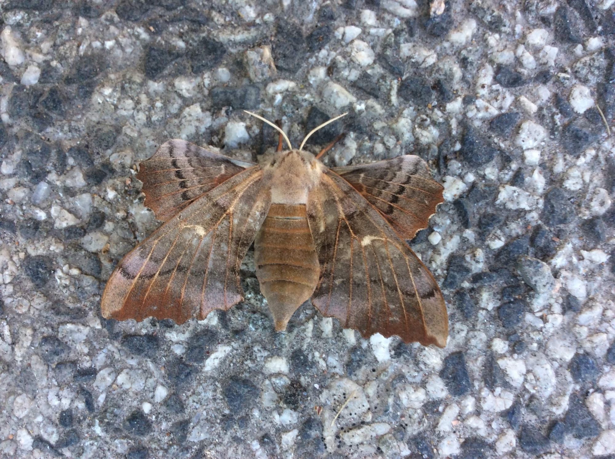 Valokuvaaja: Mariana Muttilainen Valokuvaaja: Mariana Muttilainen