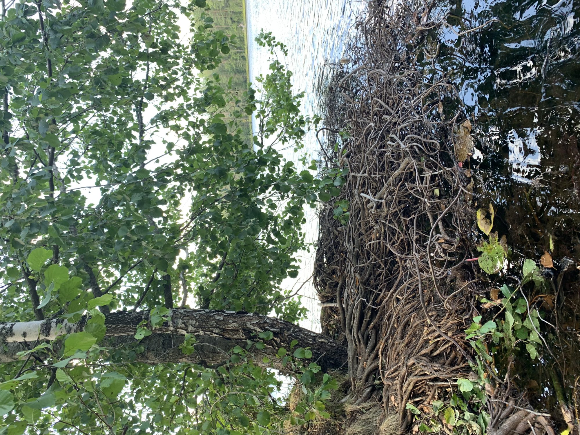 Valokuvaaja: Sami Teittinen