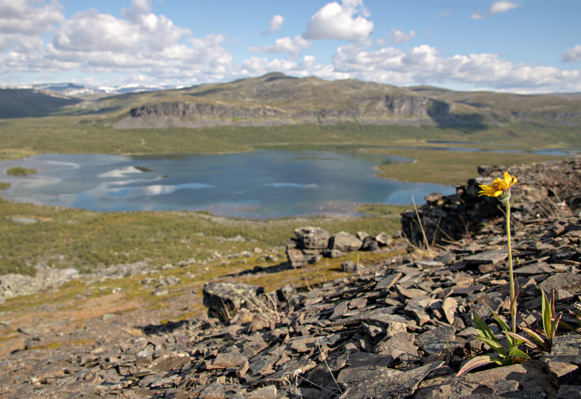 Valokuvaaja: Katri Niskanen