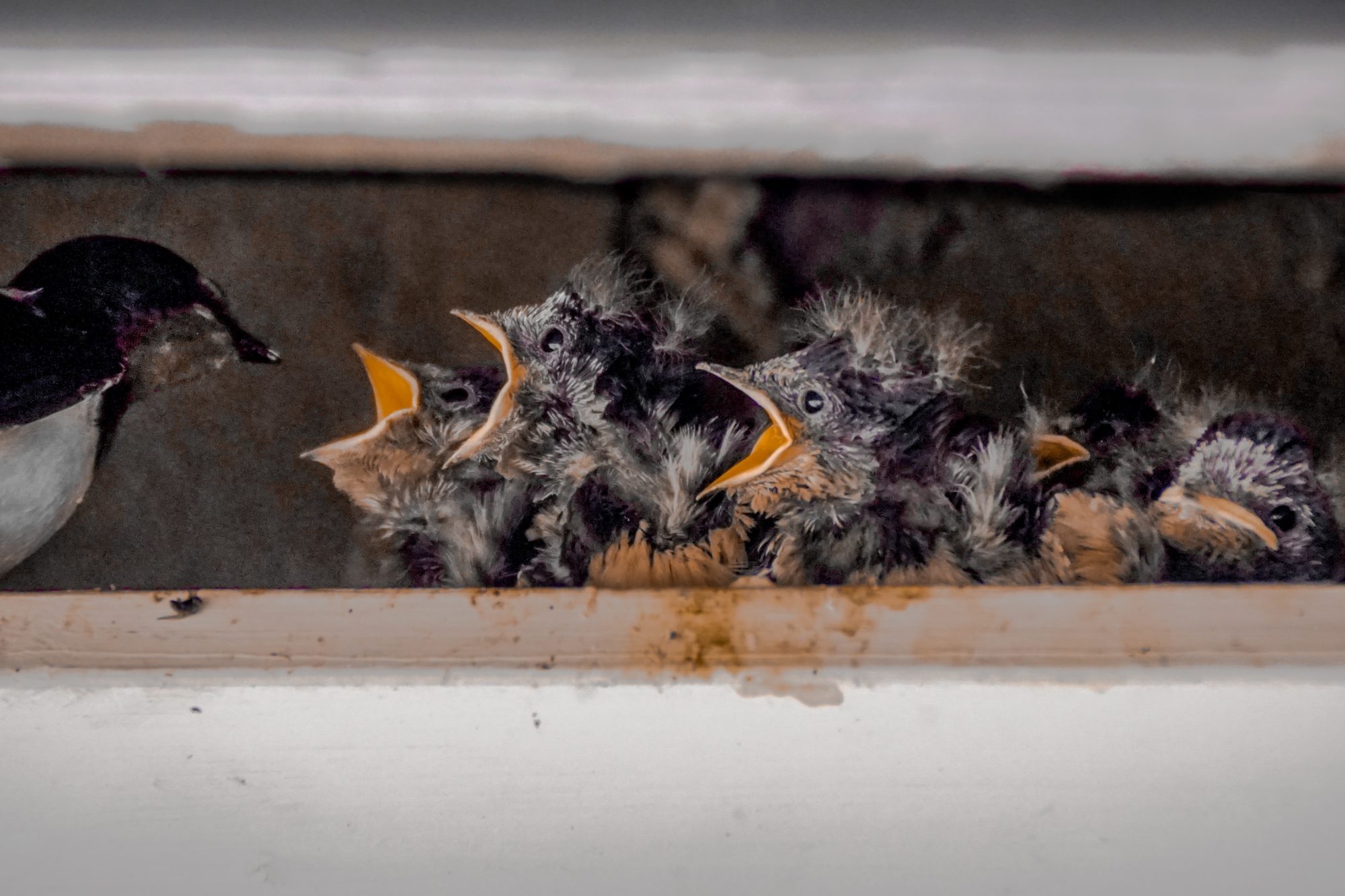 Valokuvaaja: Joni Ilmanen