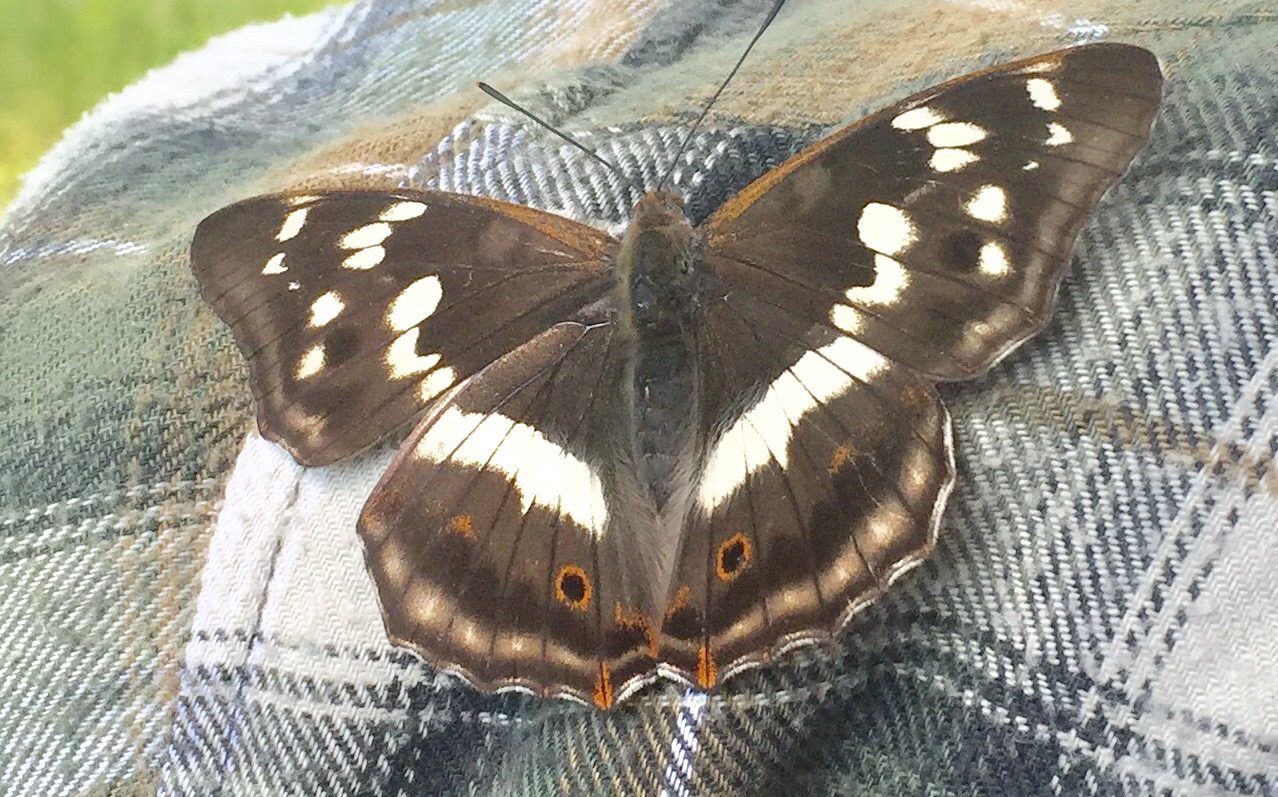 Valokuvaaja: Jouni Salminen