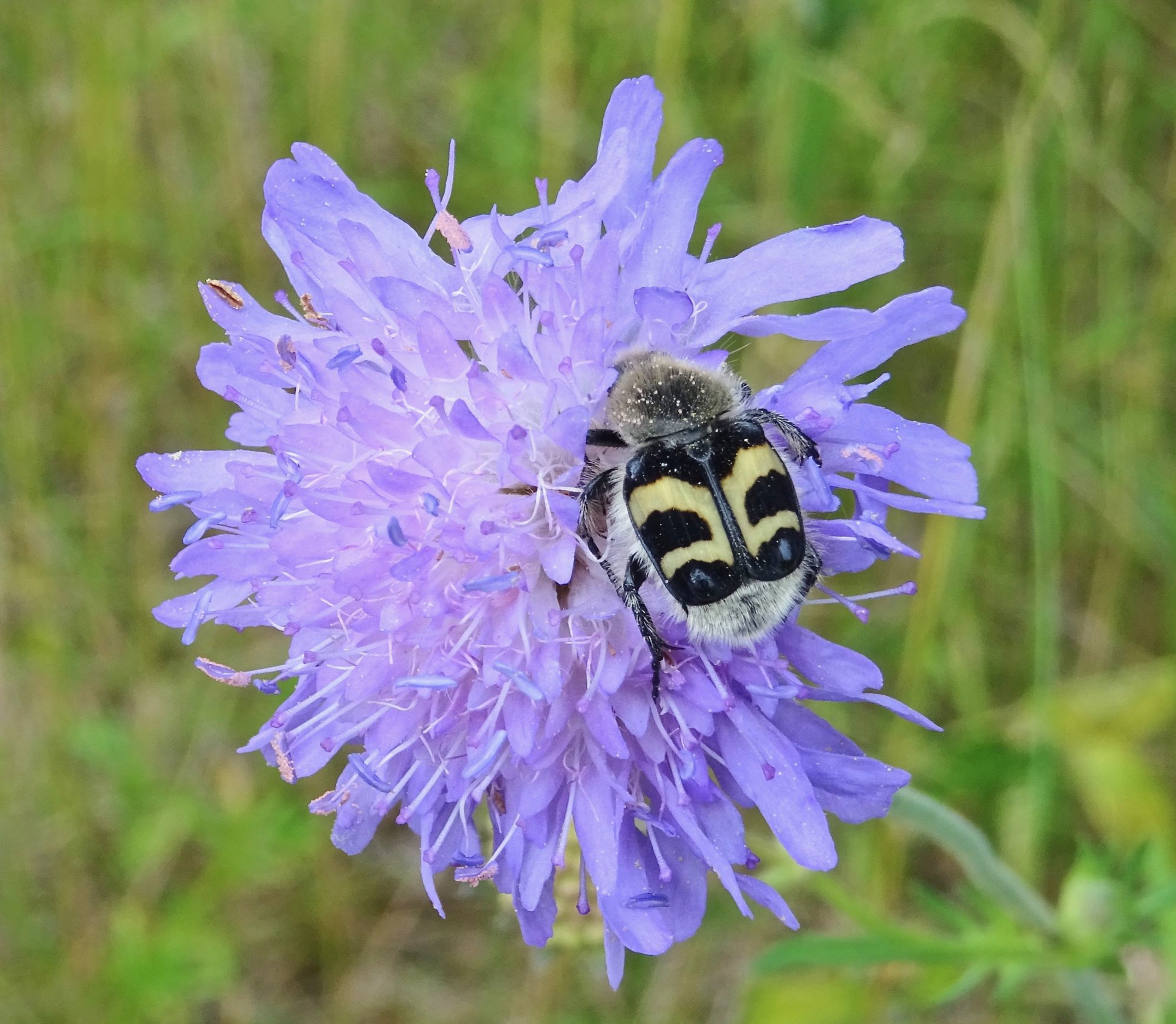 Valokuvaaja: Liisa Niiva-Korpela