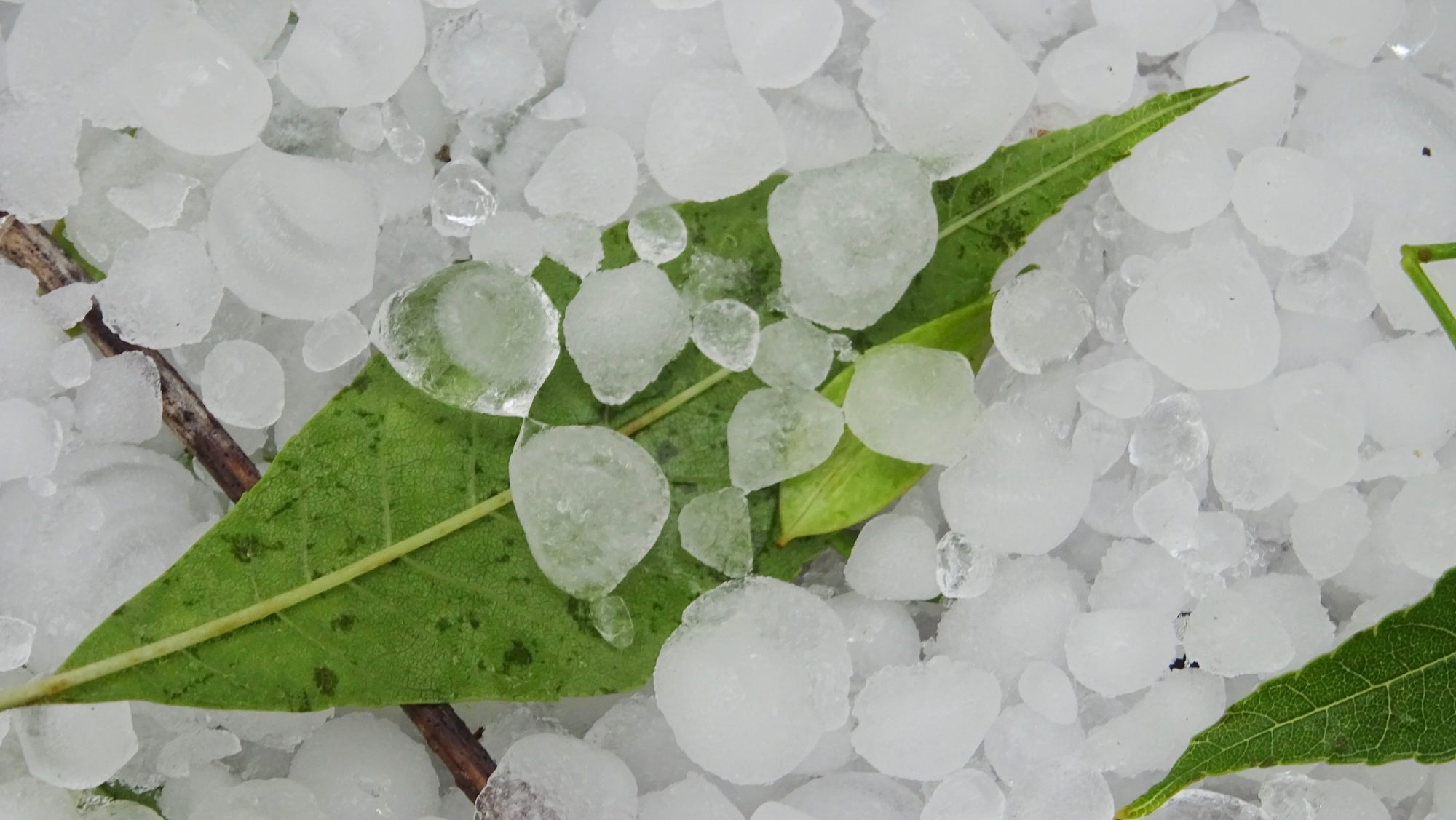 Valokuvaaja: Liisa Niiva-Korpela