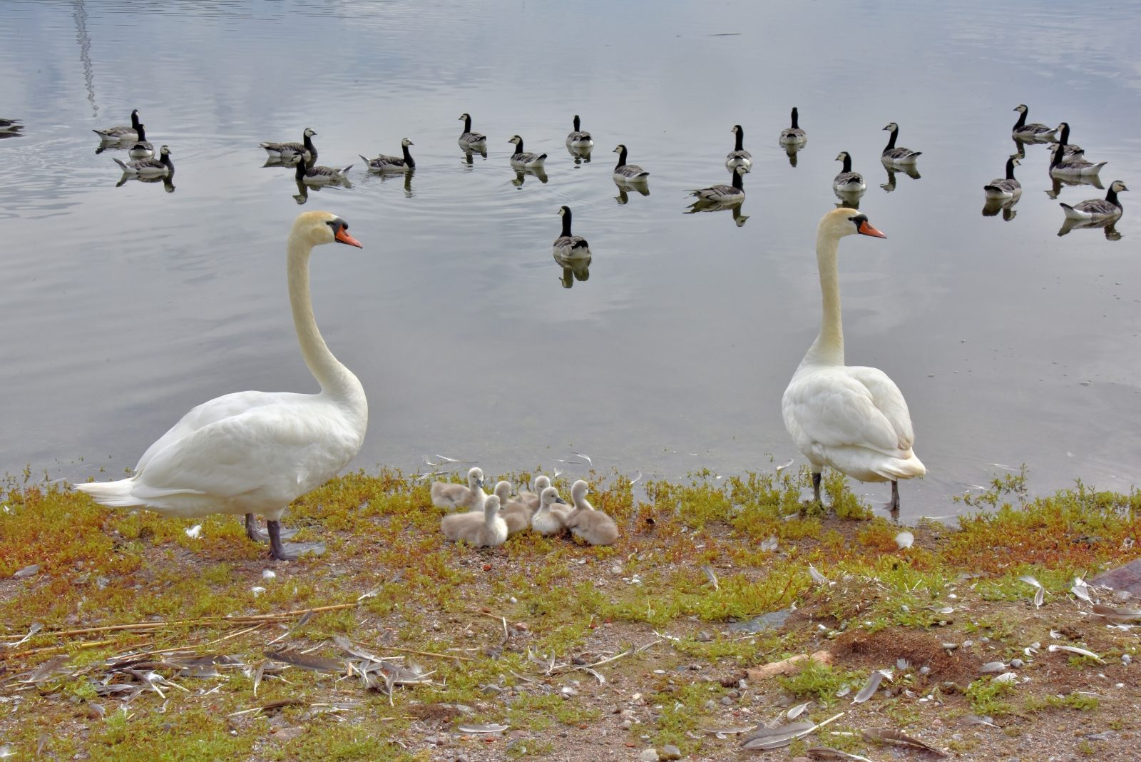Valokuvaaja: Reijo Juurinen