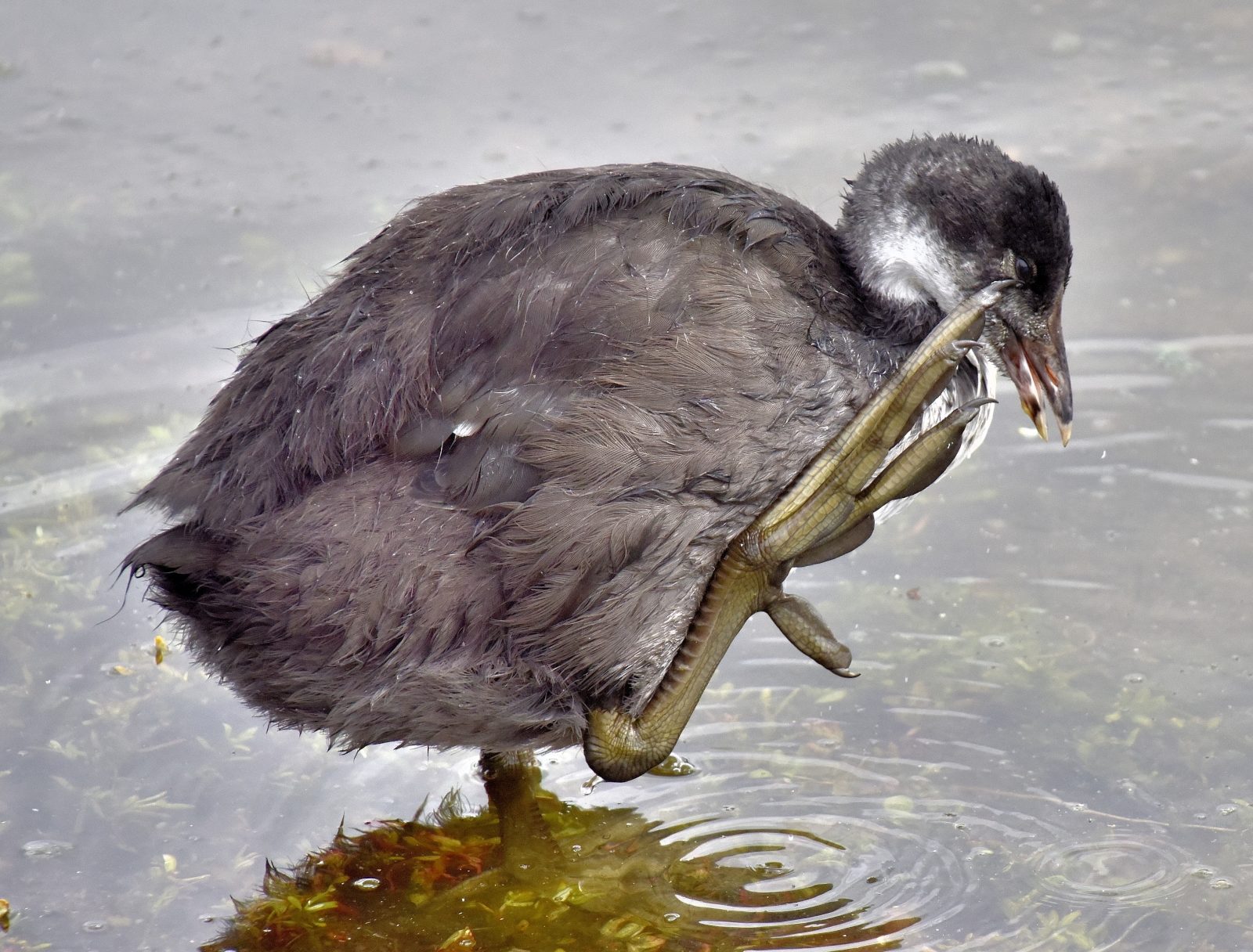 Valokuvaaja: Reijo Juurinen