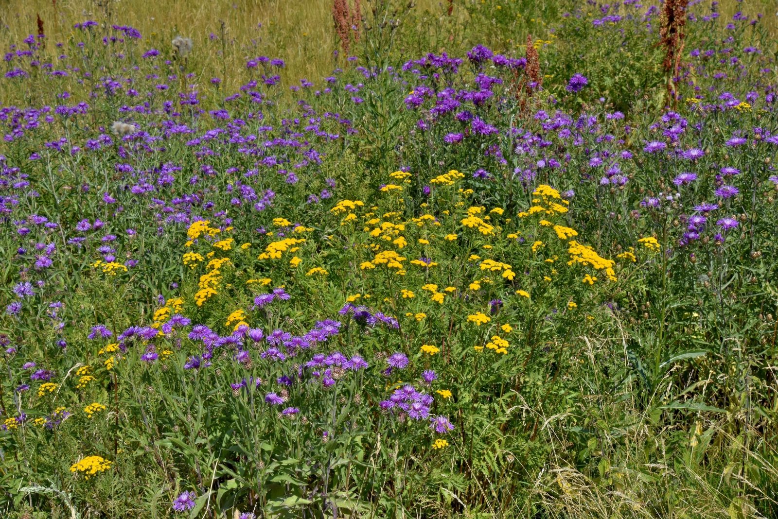 Valokuvaaja: Reijo Juurinen Valokuvaaja: Reijo Juurinen