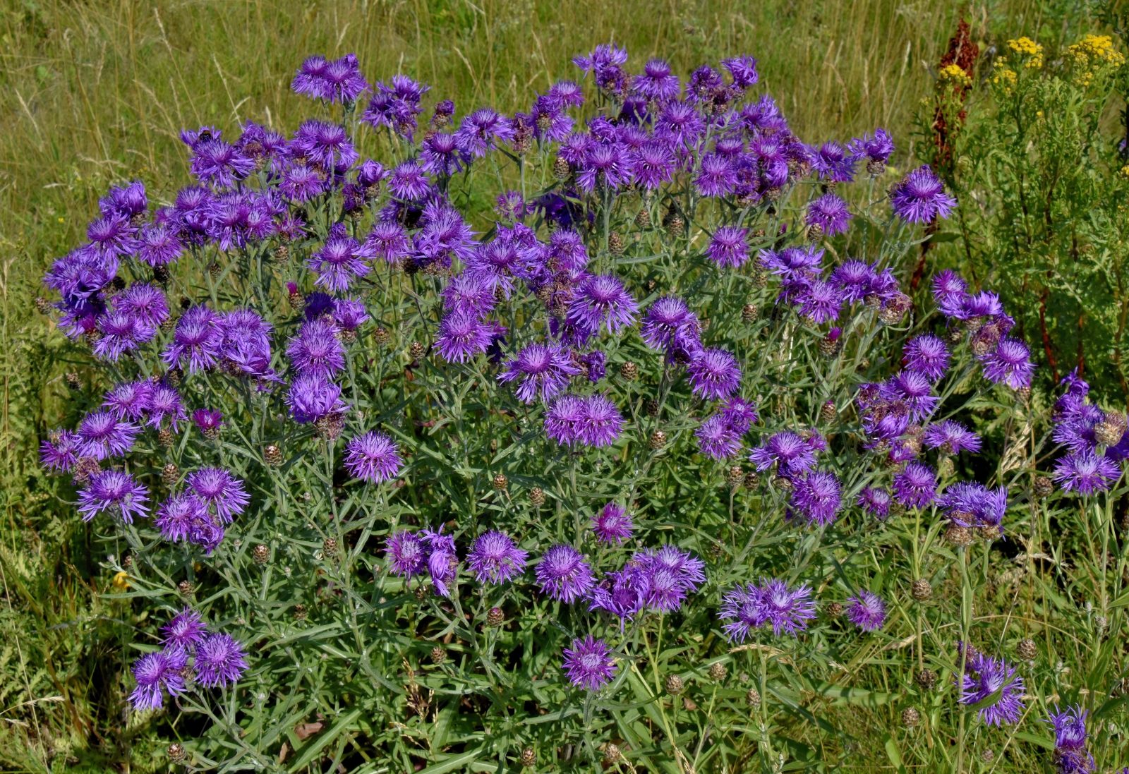 Valokuvaaja: Reijo Juurinen