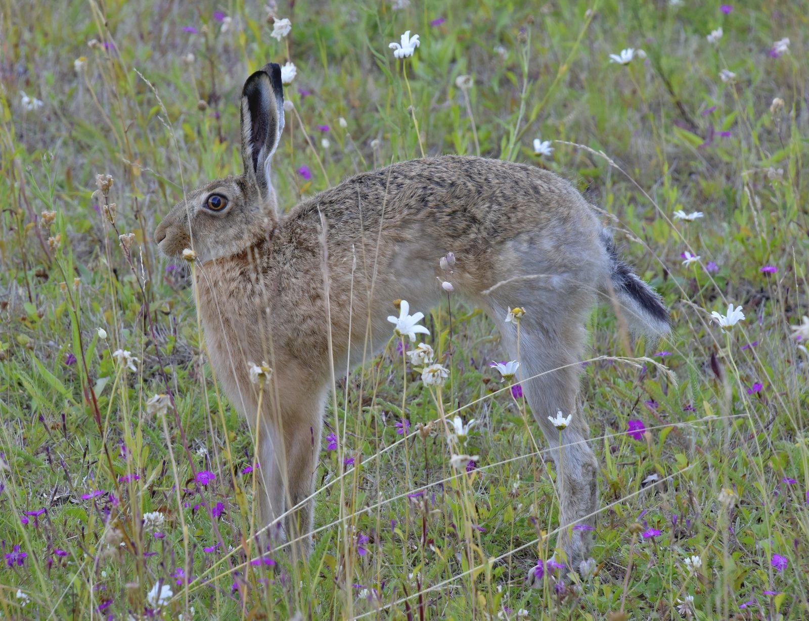 Valokuvaaja: Reijo Juurinen Valokuvaaja: Reijo Juurinen