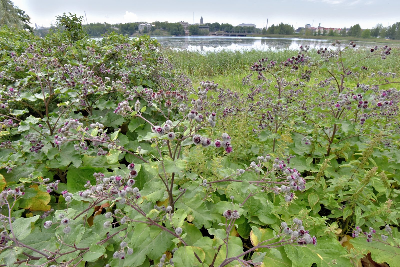 Valokuvaaja: Reijo Juurinen