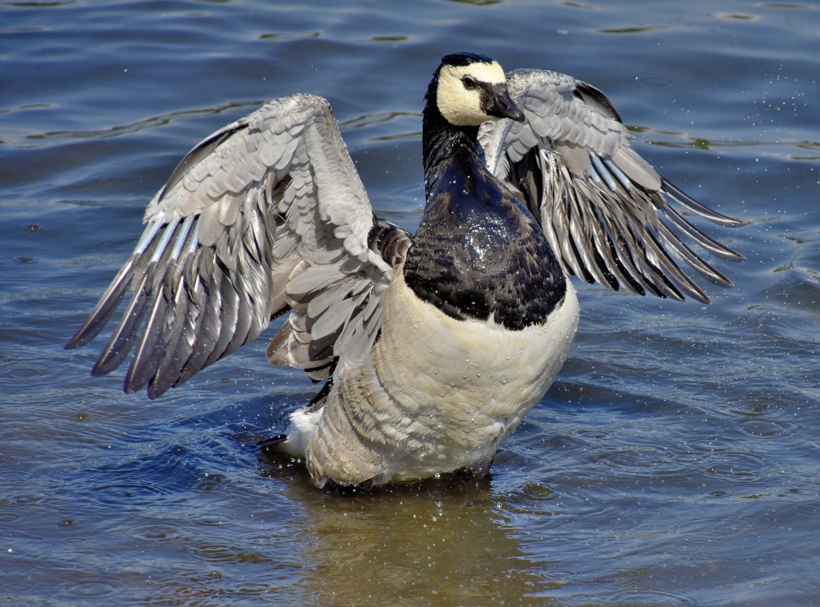 Valokuvaaja: Reijo Juurinen