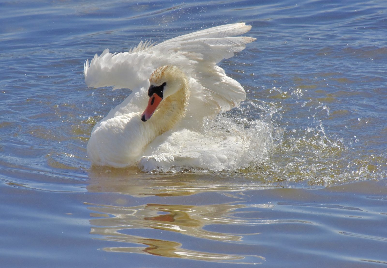 Valokuvaaja: Reijo Juurinen