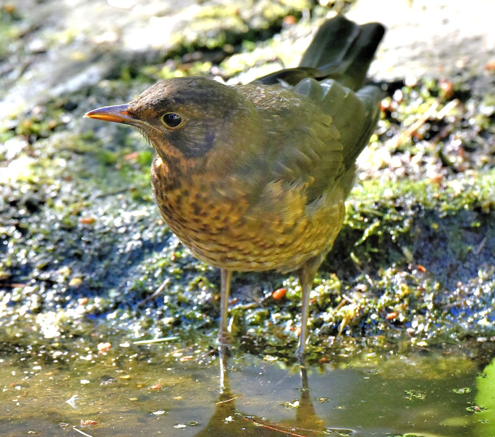 Valokuvaaja: Reijo Juurinen