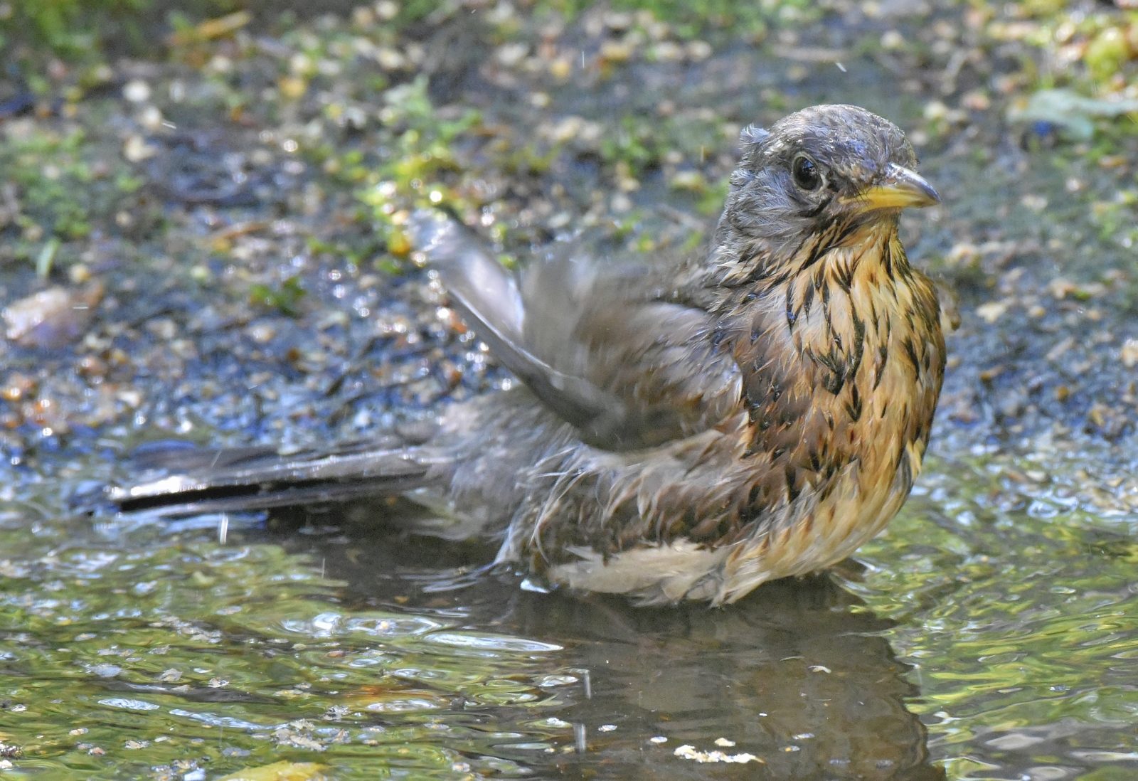 Valokuvaaja: Reijo Juurinen