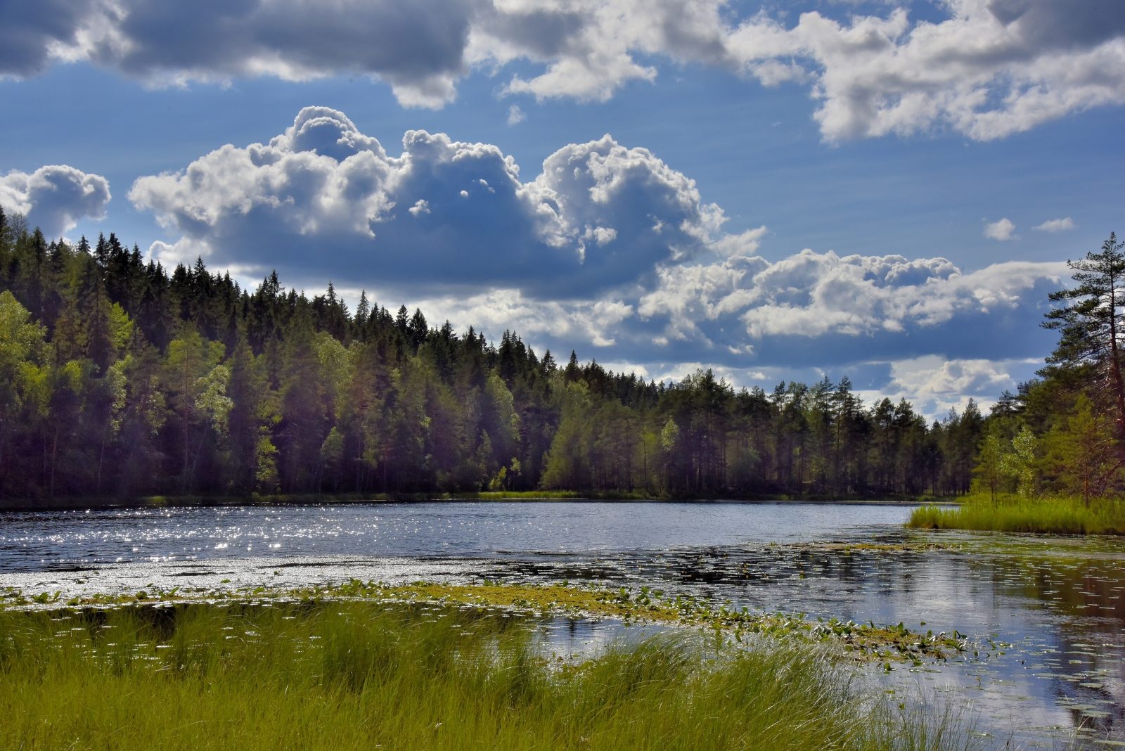 Valokuvaaja: Reijo Juurinen