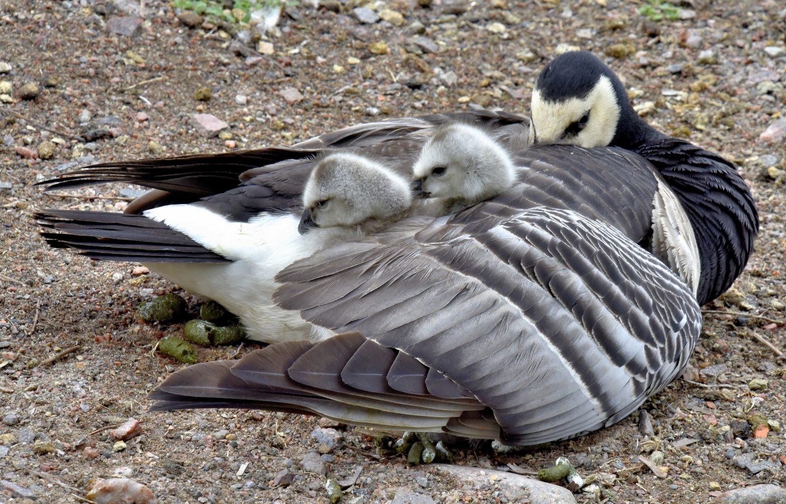 Valokuvaaja: Reijo Juurinen