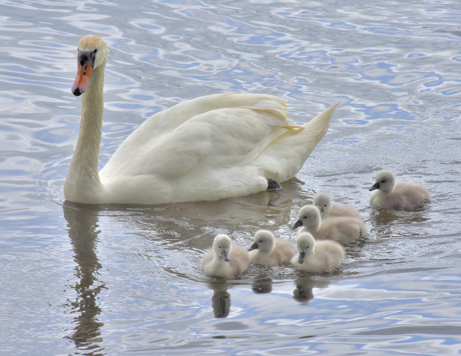 Valokuvaaja: Reijo Juurinen