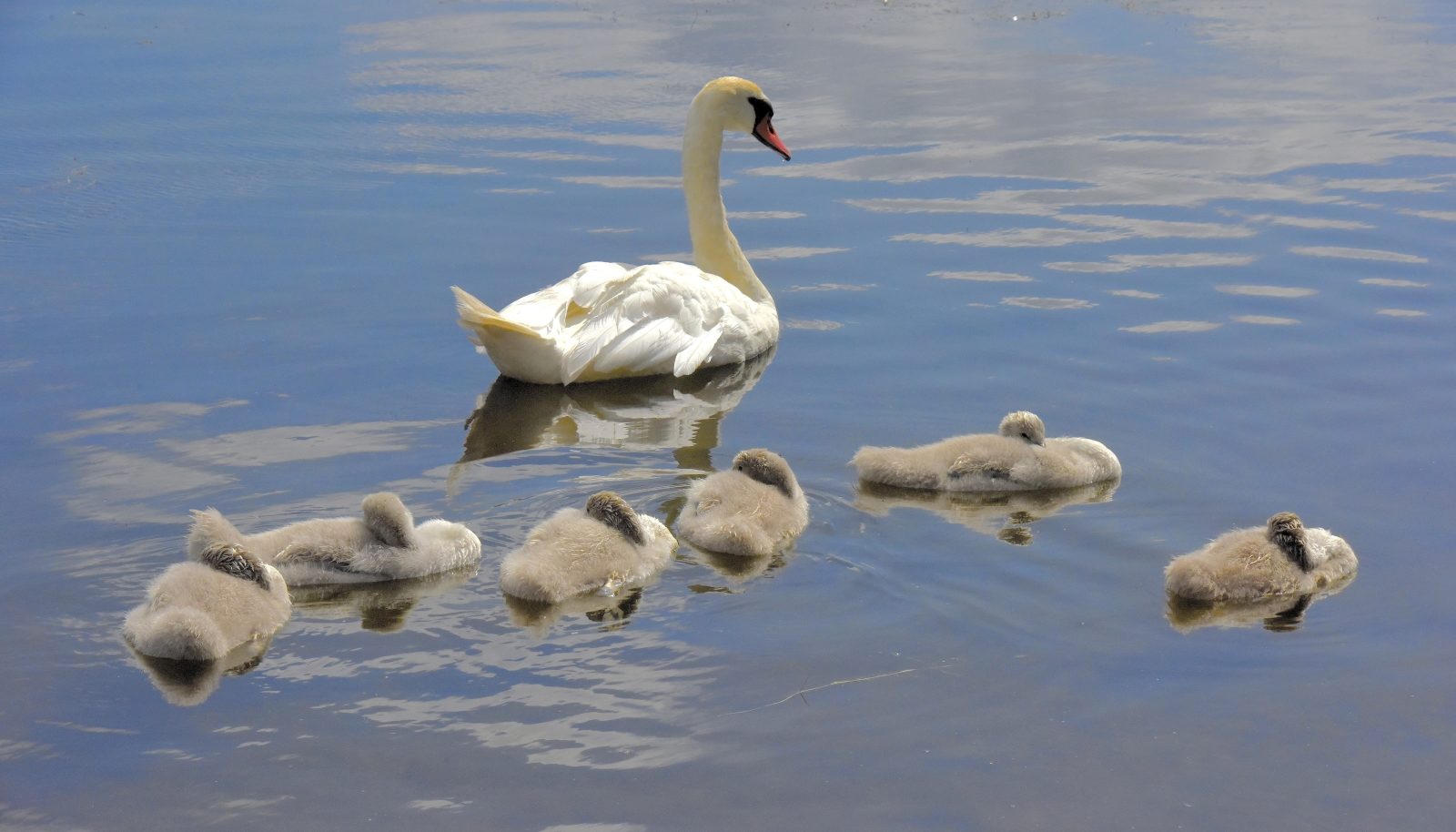Valokuvaaja: Reijo Juurinen