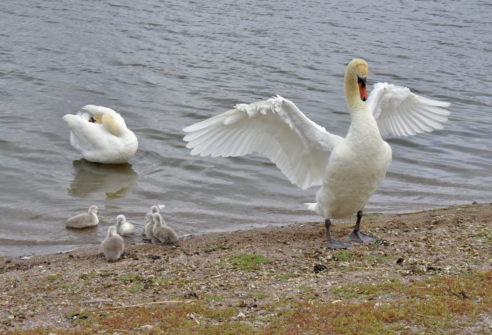 Valokuvaaja: Reijo Juurinen